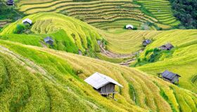 Sapa Terrace Rice Fields waiting for solos to hike!